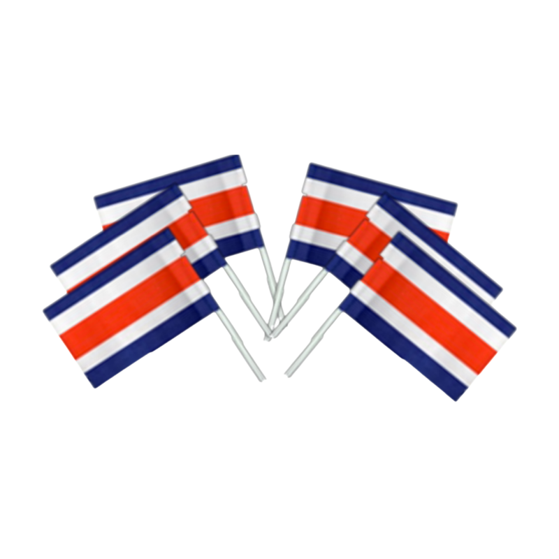 BANDERA CON ASTA ST20 PAQ 6