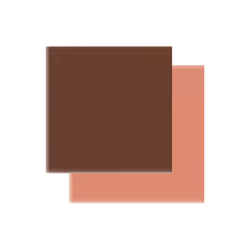 CARTULINA BICOLOR CAFE/ MELOCOTON 19X25 20UDS