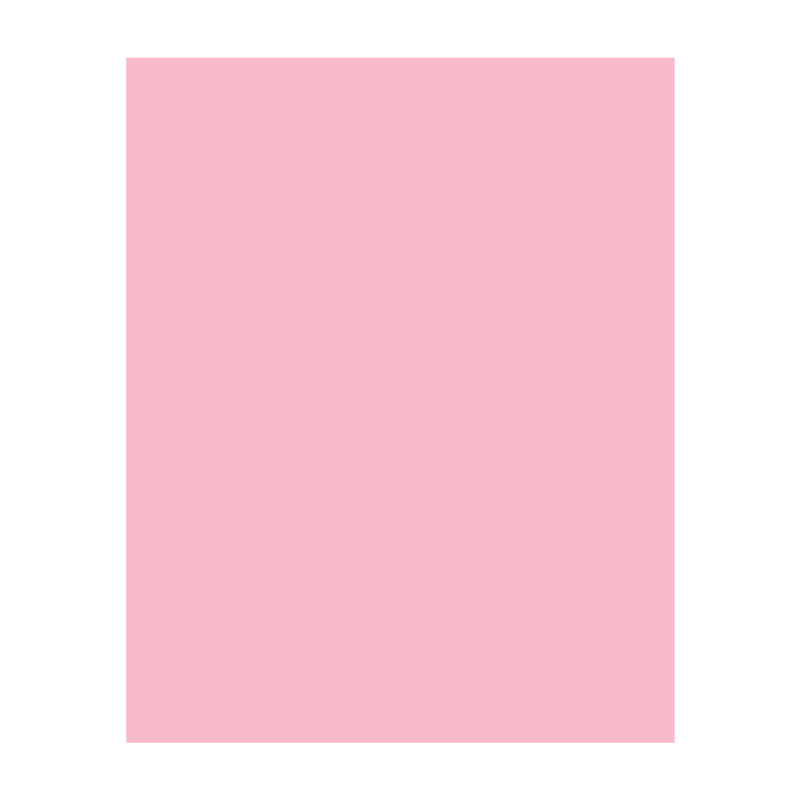 CARTULINA BRISTOL ROSADO T/CARTA (PAQ 100)