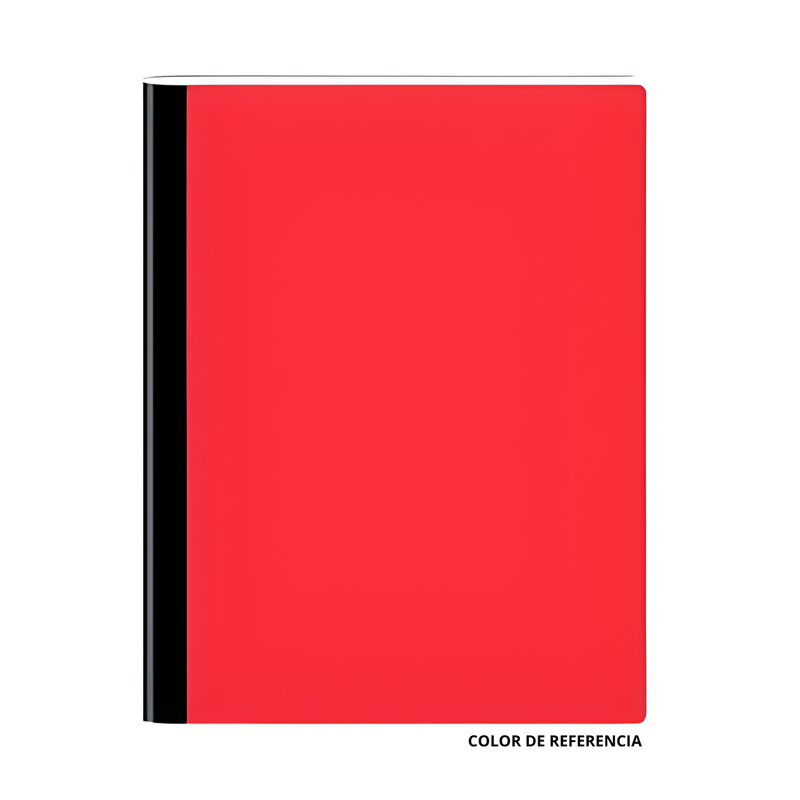 CUADERNO BUHO UNICOLOR CL 100H