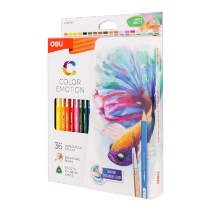 LAPIZ DE COLOR ACUARELA PINCEL 36 UDS DELI