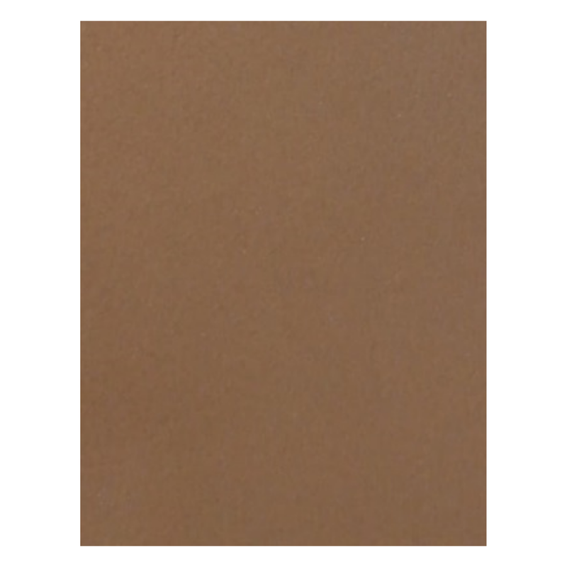 FOAM LISO T/CARTA CAFE CLARO 10H 