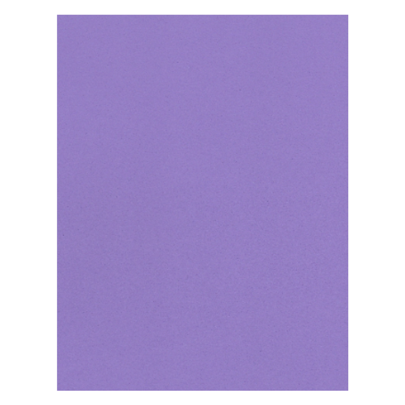 FOAM LISO T/CARTA LILA 10H 