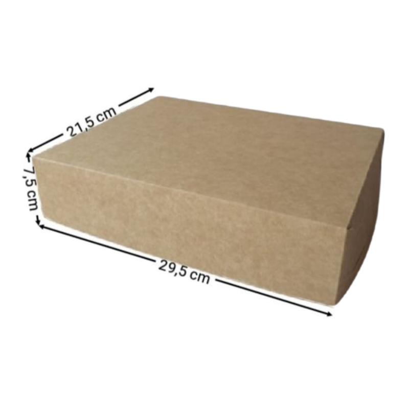  CAJA KRAFT RECTANGULAR #2060 29,5C21,5C7,5CM