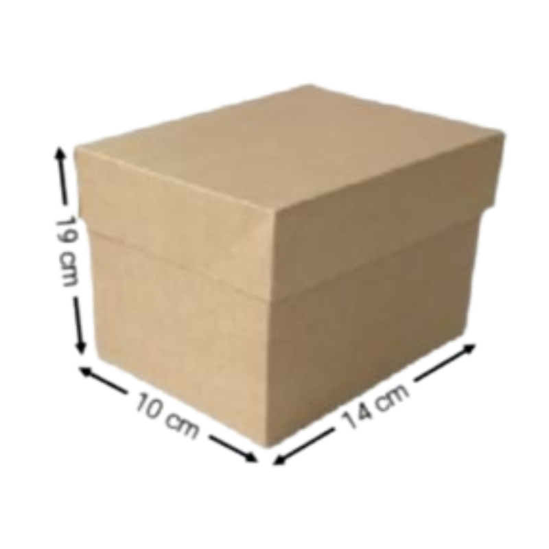 CAJA KRAFT RECTANGULAR #2080 19X14X10CM