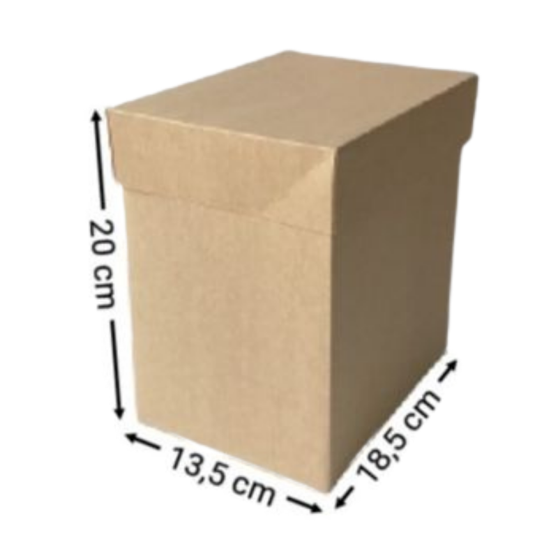 CAJA KRAFT RECTANGULAR #2085 20X18,5X13,5CM