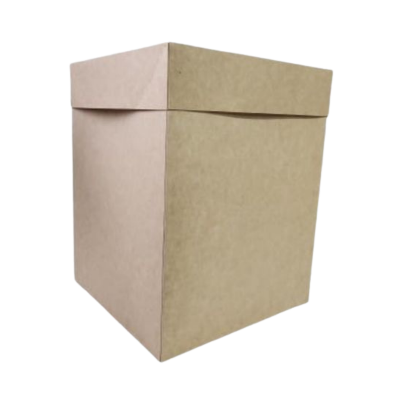 CAJA KRAFT #2088 32X25X25CM