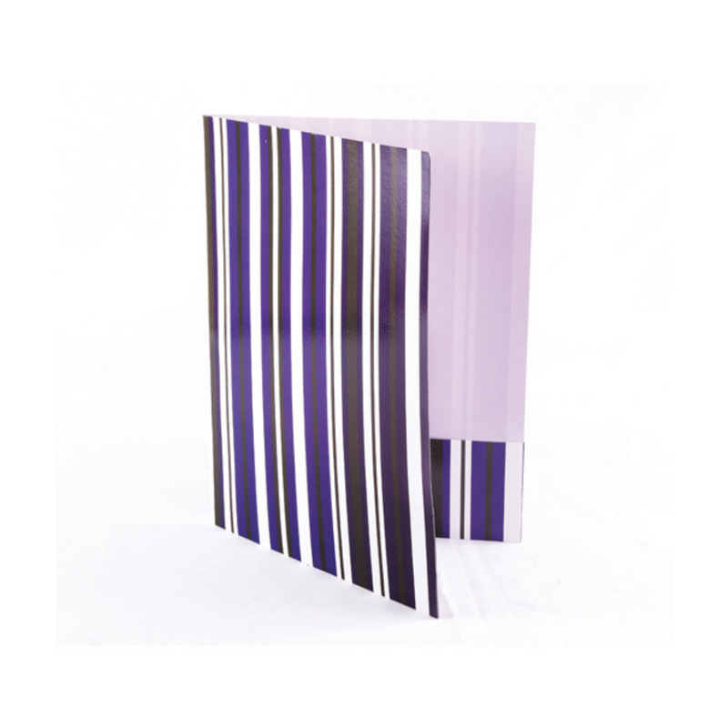 CARPETA EJECUTIVA BARNIZADA 12 UND