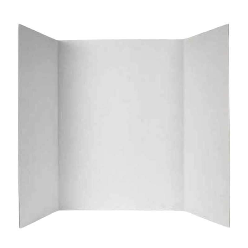 CARTON PRESENTACION EXPOSITOR BLANCO GRANDE UNIDAD