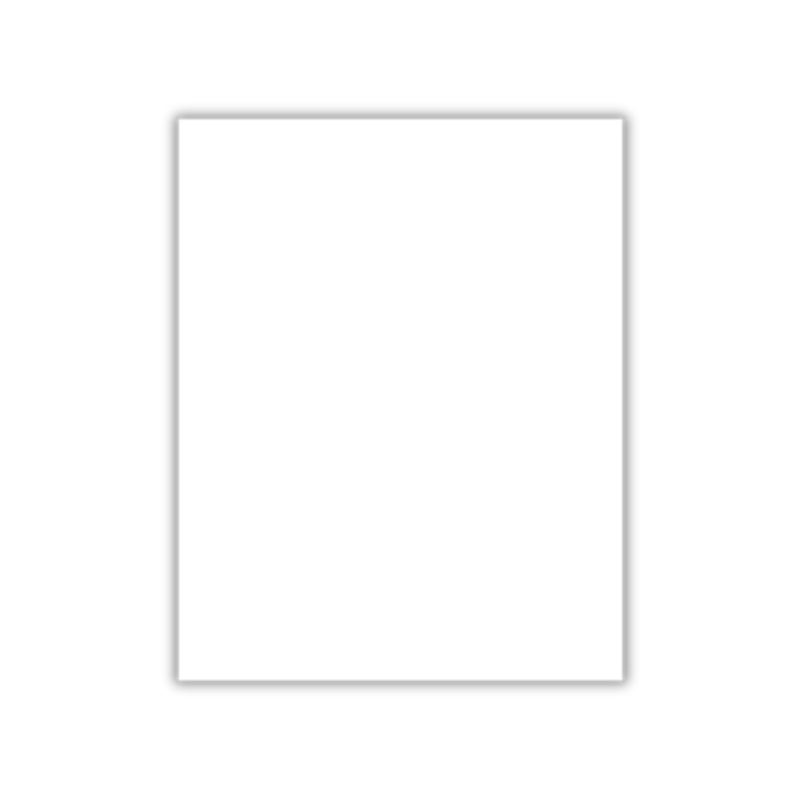 CARTULINA BRISTOL BLANCA T/CARTA (PAQ 100)