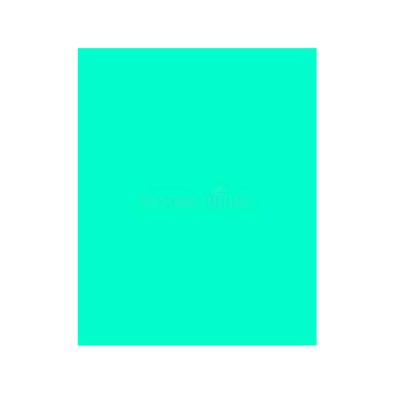 CARTULINA TURQUESA ARTES MANUALES 220 GRS 25 H 