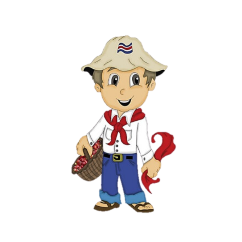 ADORNO CAMPESINO 30CM (PAQ 12) (15 SEP)