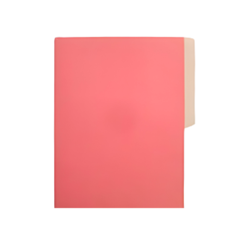 FOLDER MANILA FLASHFILE CORAL IRASA T/C (CJ100)