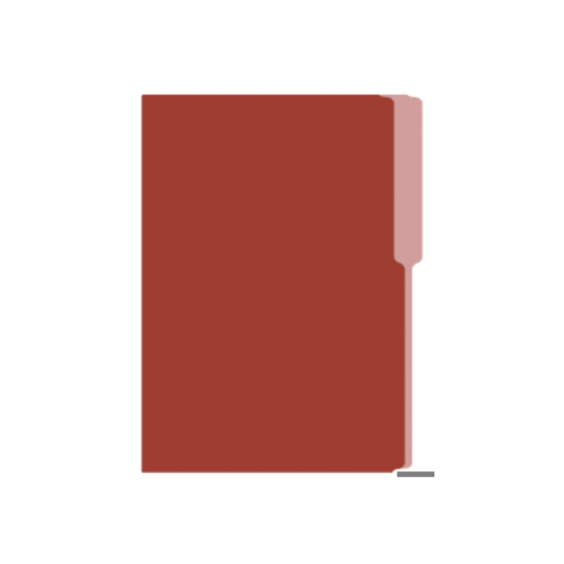 FOLDER MANILA FLASHFILE MARRON IRASA T/C (CJ100)