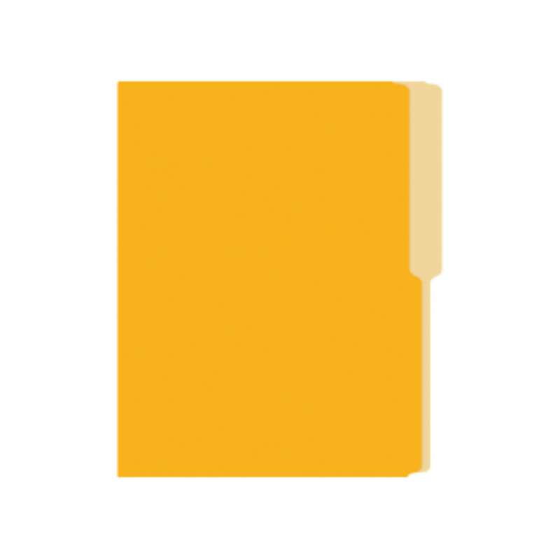 FOLDER MANILA FLASHFILE ORO AMARILLO IRASA T/C (CJ100)