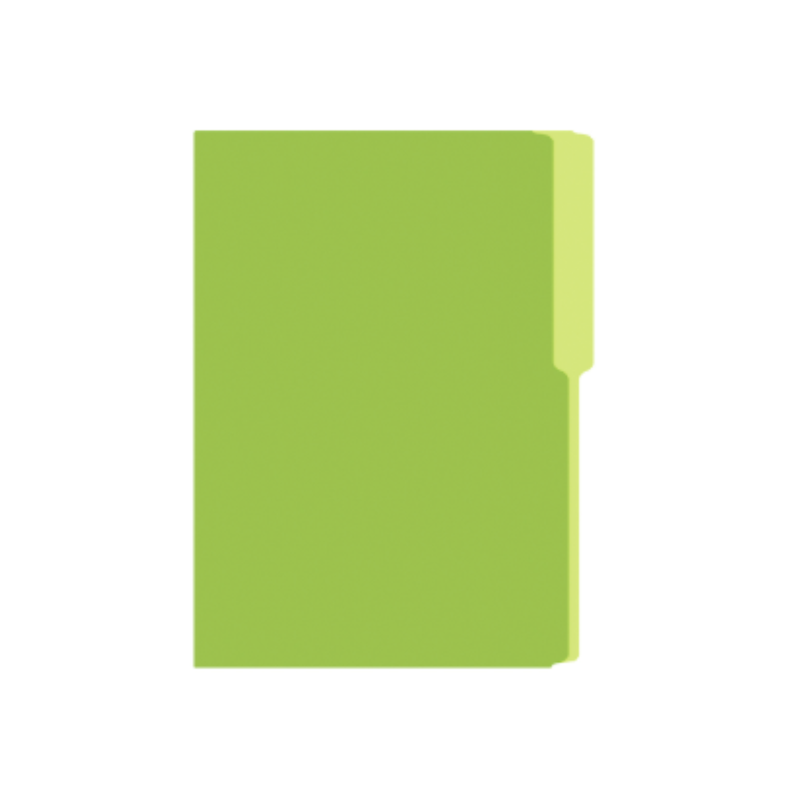 FOLDER MANILA FLASHFILE VERDE LIMON IRASA T/C (CJ100)