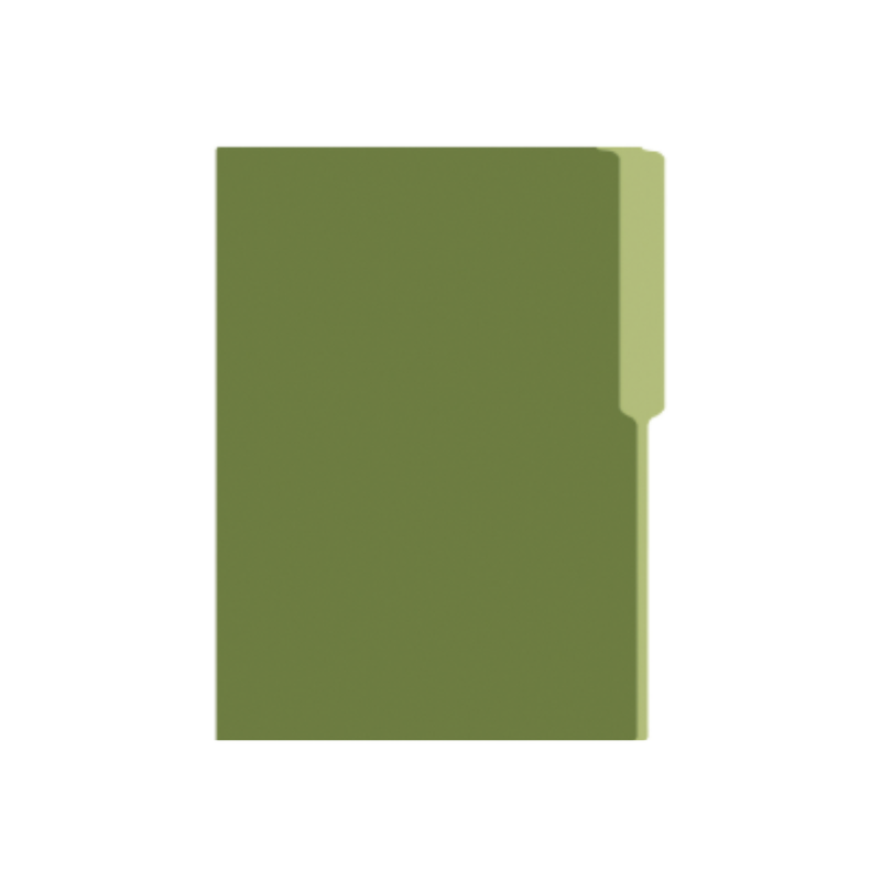 FOLDER MANILA FLASHFILE VERDE OLIVO IRASA T/C (CJ100)