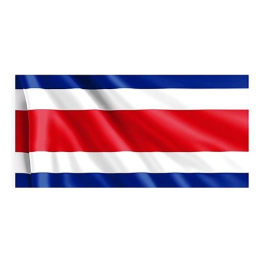 [OFF-8982] BANDERA TELA ST90 MEDI 100CM X 150CM 8982 UD