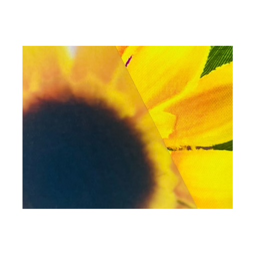 [OFF-59002PV] PAPEL PERGAMINO VEGETAL 90GRS 70X100 CM