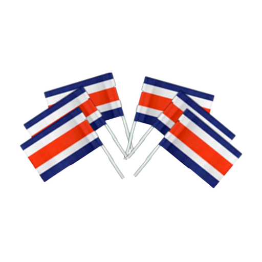 [OFF-ST20] BANDERA CON ASTA ST20 PAQ 6