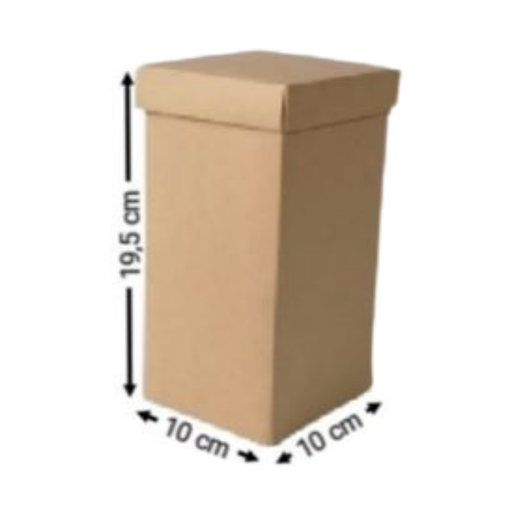 [OFF-CK-2044] CAJA KRAFT P/PERFUME #2044 19,5X10X10CM