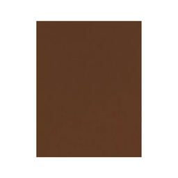 [PAP-33667] PAPEL BOND CAFE 75grs 25 H