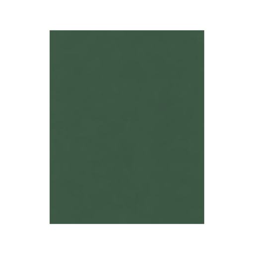 [OFF-69VO] FOAM LISO 60X90CM VERDE OSCURO 10H