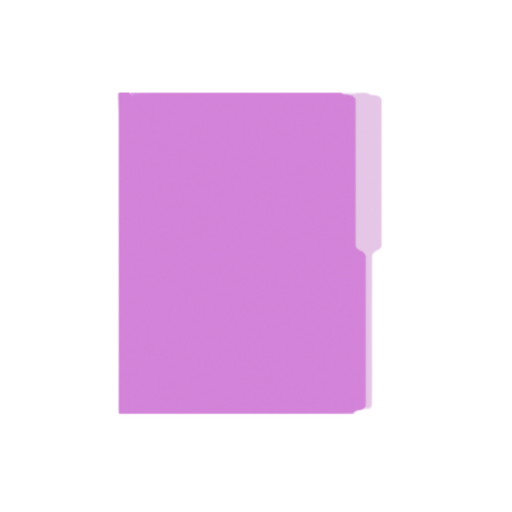 [OFF-067L] FOLDER MANILA FLASHFILE LILA IRASA T/C (CJ100)