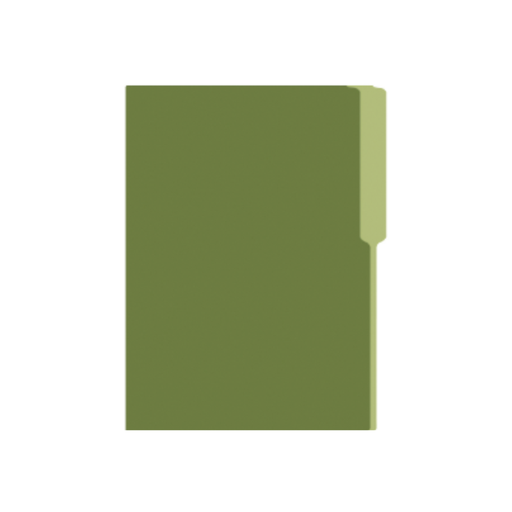 [OFF-067VO] FOLDER MANILA FLASHFILE VERDE OLIVO IRASA T/C (CJ100)