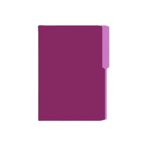 [OFF-067VI] FOLDER MANILA FLASHFILE VIOLETA IRASA T/C (CJ100)